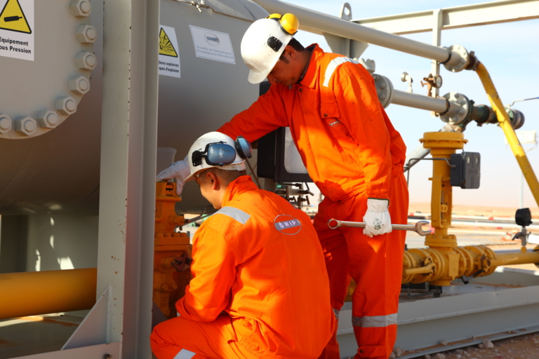 Group Companies Strength